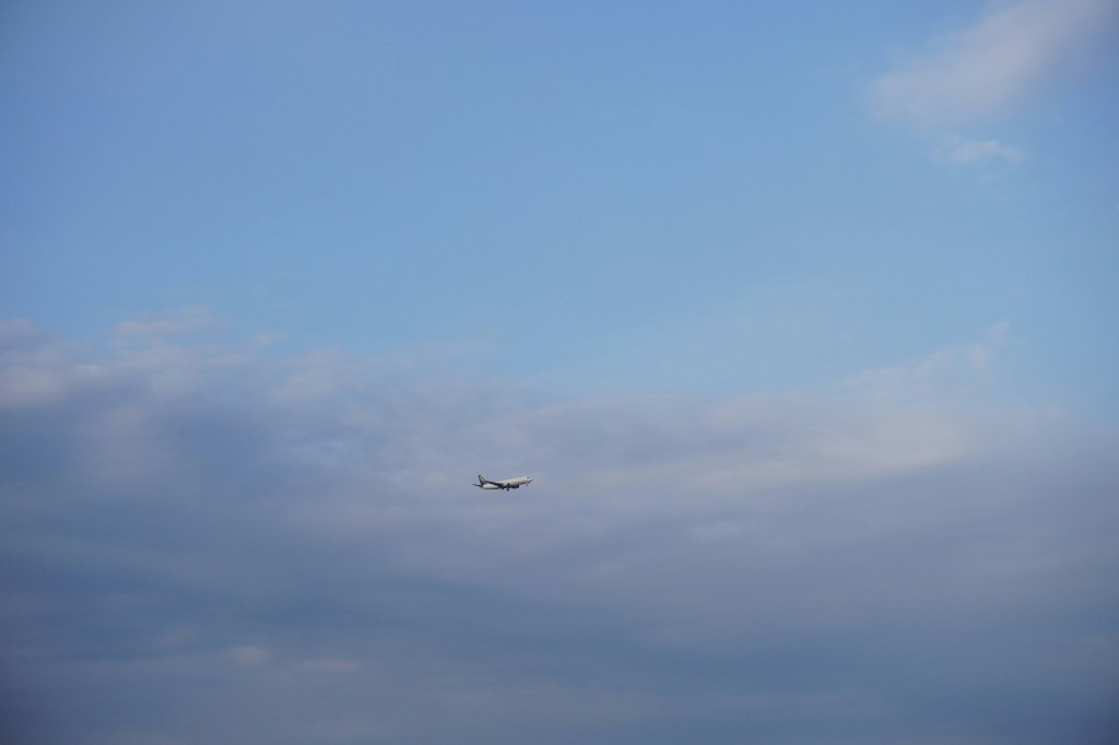 Public Accountability and Collective Action&nbsp;Work