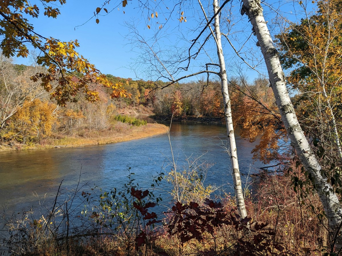Ottawa Conservation District Board Elections 