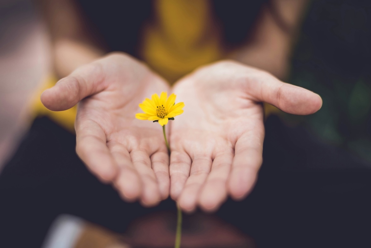 Safety, Support, and Healing for Our Community