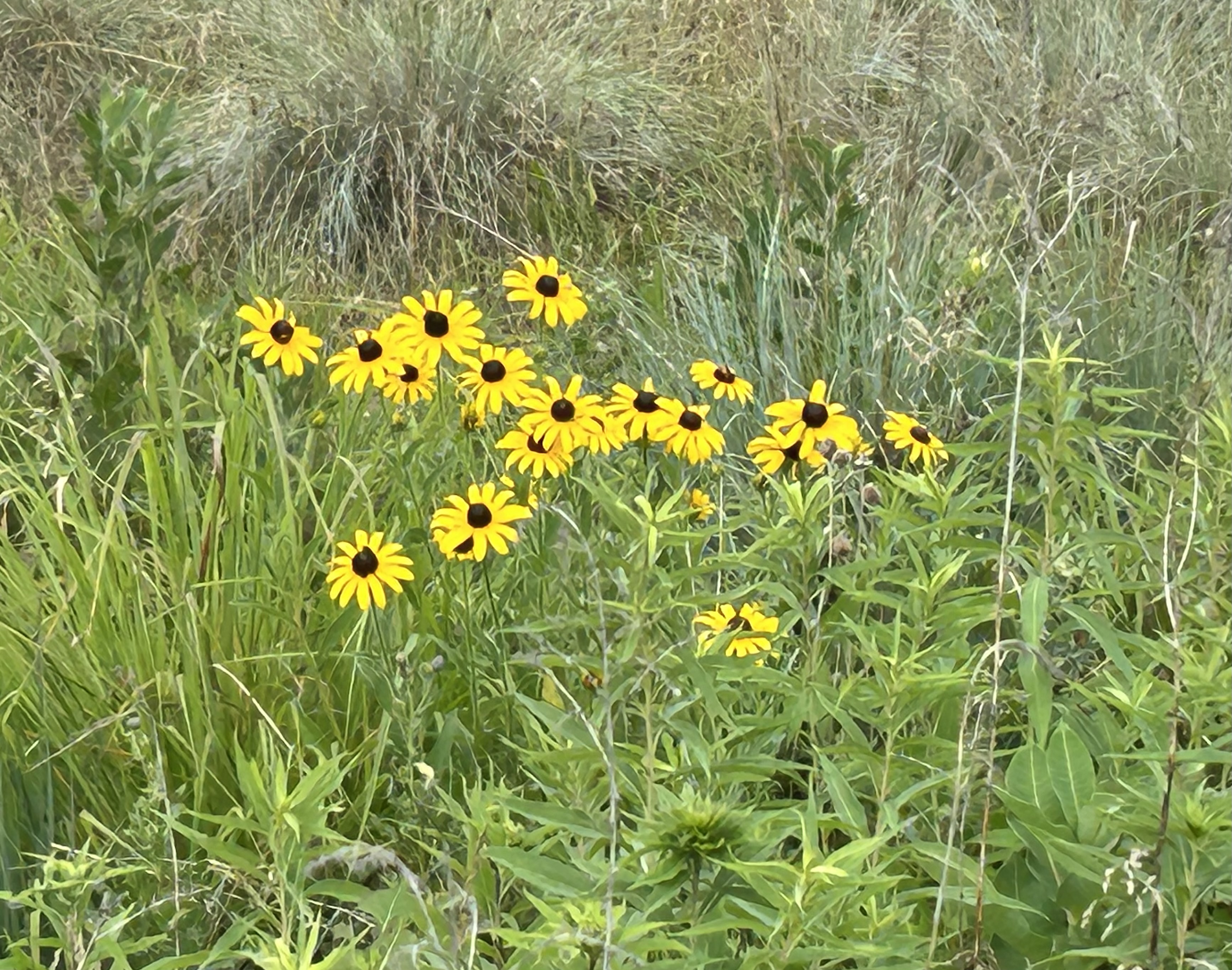 Help Ottawa County Parks Grow with Us